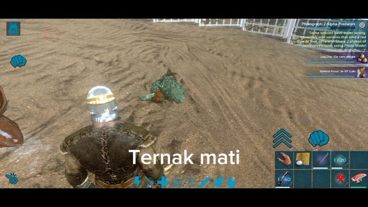 ARK mobile: ketika base mu di obrak abrik alpha dino