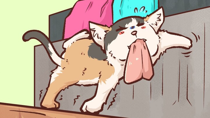 That little kitty had to go through so much just for a bite to eat!