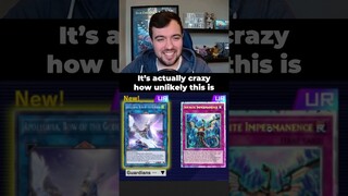 World Champ Difference