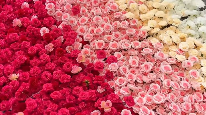 Flower 🌺 and wives