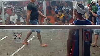 Sabungan ng MASA1