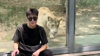 被吓一跳得真实反应，差点返祖了～