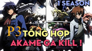 Tóm tắt "Sát thủ Akame" | P3 | AL Anime