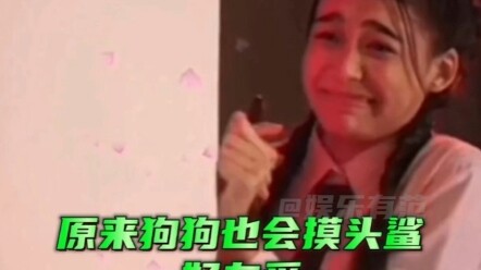 Ternyata anjing juga bisa “mengelus kepala” kayak hiu! Lucu banget, ya!