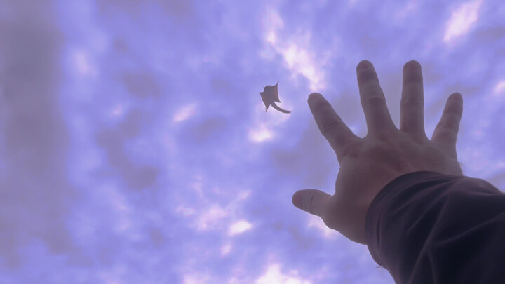 The Huajuan you watched grow up can finally fly
