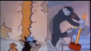 tom and jerry ภาคอีสาน