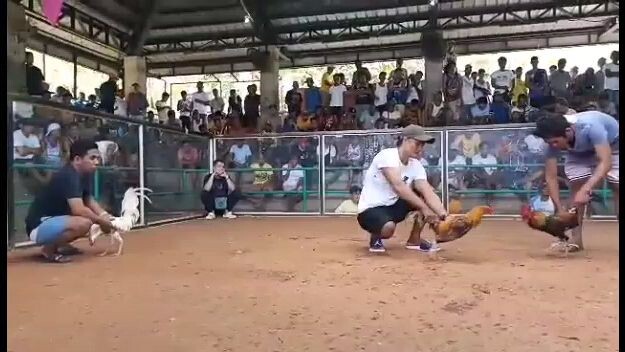 Mambulao Cockpit Jose Panganiban Camarines Norte