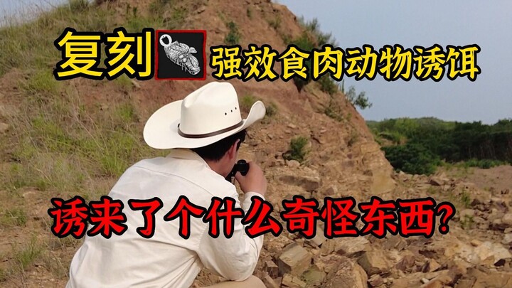 Phiên bản người thật tái hiện 【Mồi nhử động vật ăn thịt cực mạnh】 Rốt cuộc là thứ quái gì đã bị dụ đ