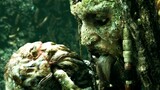 【4k/Pirates of the Caribbean】Give up immortality for friends