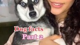 Did you know this? LearnOnTikTok dogfacts