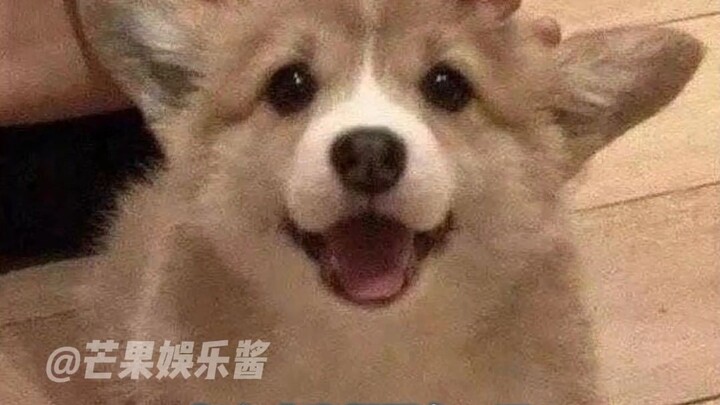 Tôi có thể ngồi đây xem cả ngày