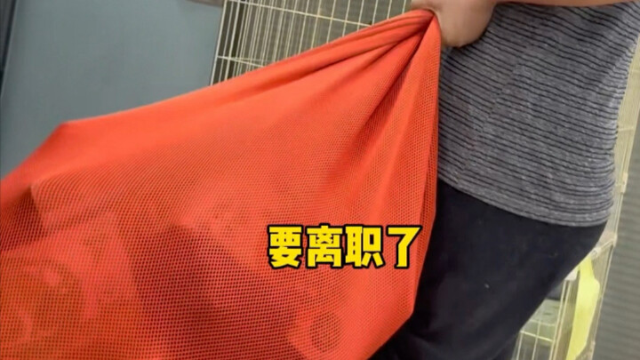 هناك زميل ترك العمل.