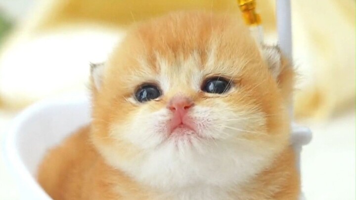 การได้เติบโตไปพร้อมกับคุณเป็นเรื่องที่ให้ความรู้สึกสำเร็จอย่างยิ่ง!