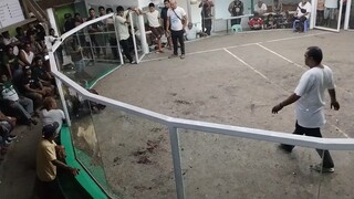 ulutan 3rd fight win at Digos Davao del sur