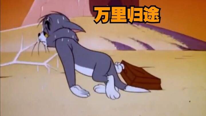 Đây là MV gốc của "Nghìn Dặm Nhà"!