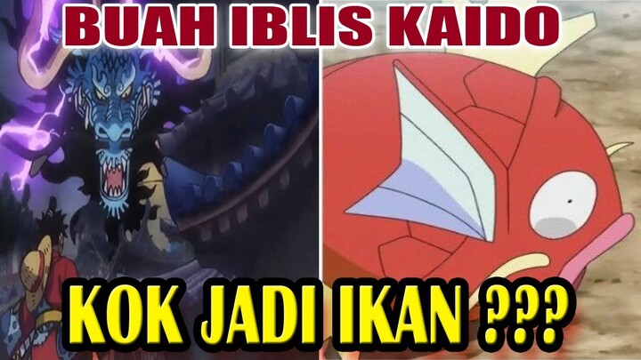 ternyata ini rahasia buah ibl1s kaido buah ibl1s ikan teori one piece terbaru