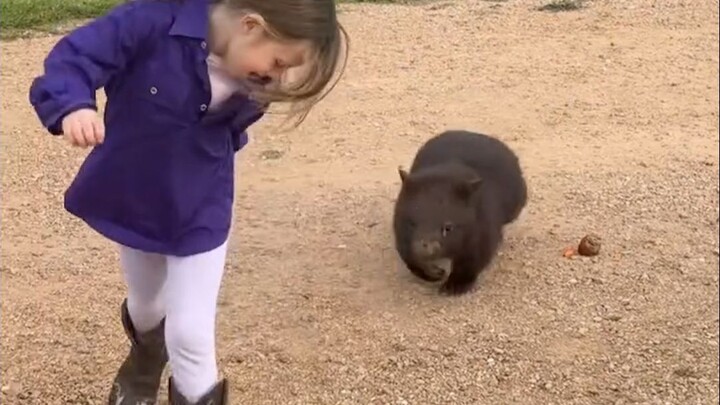 While others walk their dogs, she’s walking a pouch bear 🐻