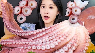 [ONHWA] Âm thanh nhai bạch tuộc khổng lồ mềm và dai!🐙