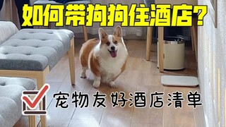 【Ultimate Guide】How to Stay at Hotels with Your Dog! Includes a List of Pet-Friendly Hotels