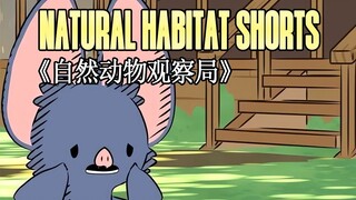 220623 Natural Habitat Shorts