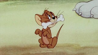 "Chó muốn nghe bài hát của chó"