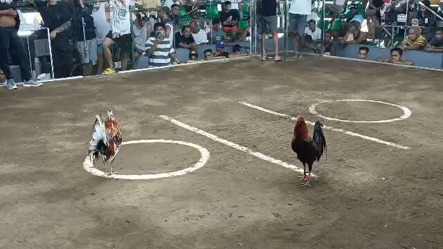 2hitschampionnanamantayo