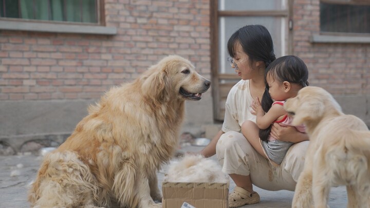 How Much Harder Is It to Groom Your Dog After You Have a Kid?