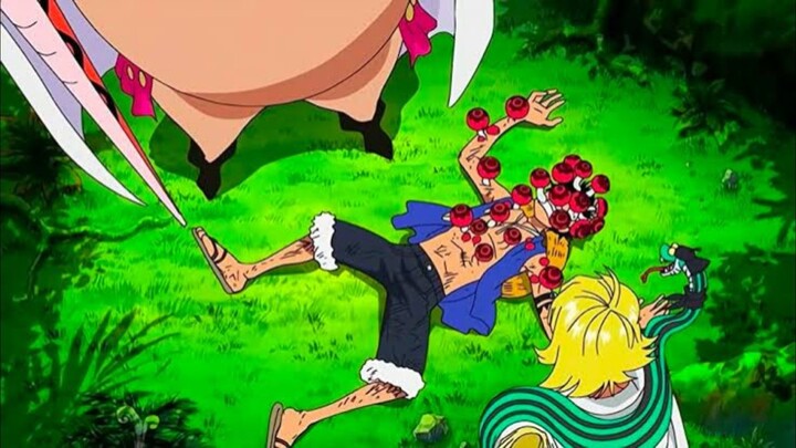 MOMEN LUFFY TERKENA RACUN JAMUR DAN DI MANDIIN PARA CEWE DI PULAI WANITA!!?🥵