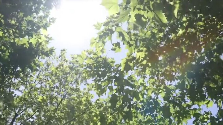 can't hide it secretly HL (ep6)