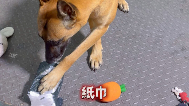 ข้าราชการพลเรือนยังคงยอดเยี่ยมอยู่เสมอ