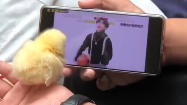 ลูกน้อยต้องได้รับการปลูกฝังตั้งแต่ยังเล็ก! “จุดสูงสุดก่อให้เกิดการสนับสนุนอันหลอกลวง ส่วนยามพลบค่ำกล