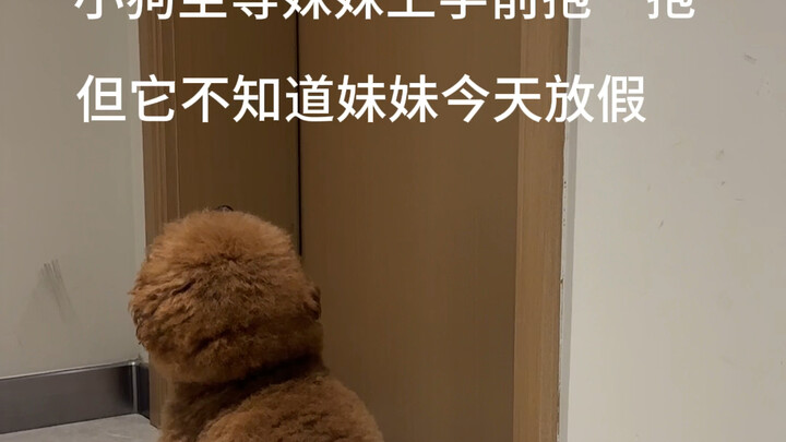 Who can relate! The puppy’s been eagerly waiting to give its little sister a cuddle before she goes 