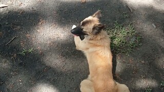 better luck next time my boy.