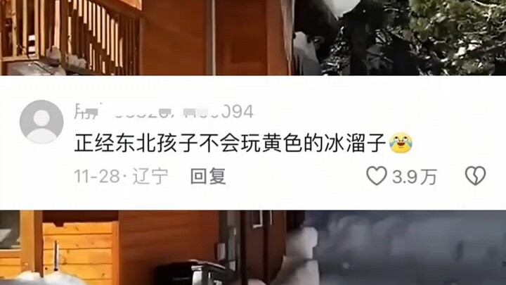 Do Northeastern friends think this is real or fake?