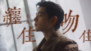 ● 进 来 做 30 s 的 港 梦 ● 缠 住 吻 住 春 风 吹 住 我 吗 | 肖战 | TODS