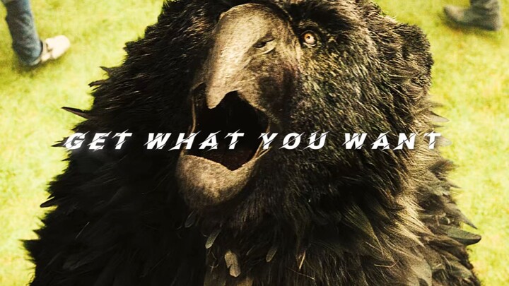 [The Metamorphosis of the Crow]