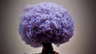 见手青，学名红网牛肝菌，破损之后会产生颜色变化，这是它含有毒性的标志。有道是凉拌见手青，越吃越年轻，今天26，明天仅6斤。
