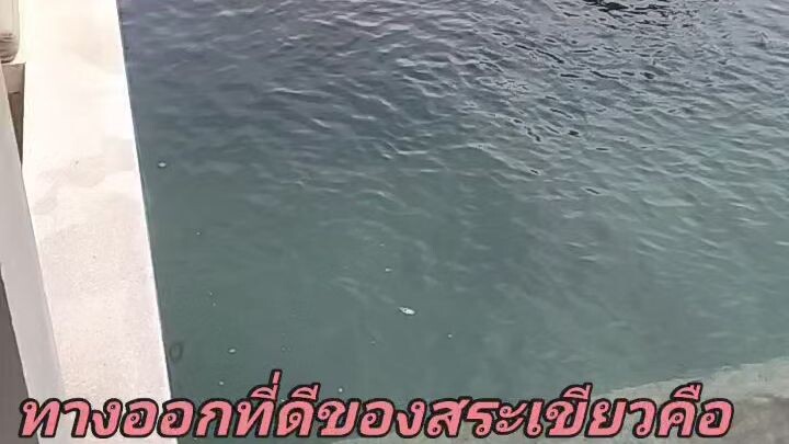 ดูแลอย่างใกล้ชิดให้มาช่วยดูแลสระน้ำได้นะครับ