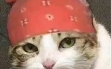 [Memes] Just Laugh If You Find It Funny Episode #53