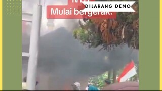 NTB mulai bergerak kantor DPR. #promomakangajian #indonesiabubar2030 #promoseruweekend #semuaorangpa