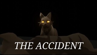 The Accident