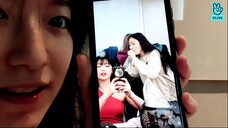 301120 늑대