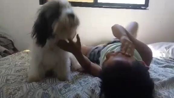 doggy talking