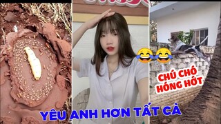 Top comments Tik Tok💙- Những video và bình luận hài hước trên Tik Tok.