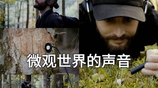 Bạn đã bao giờ nghe thấy âm thanh bên trong thân cây chưa? Hãy tăng âm lượng lên và trải nghiệm thế 