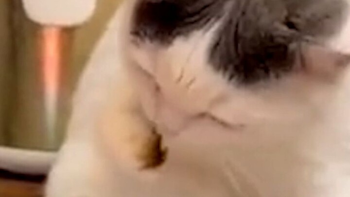 This is getting too hot, guys!