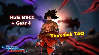 Haki Bá Vương cấp cao kết hợp Gear 4? Luffy sắp thức tỉnh TAQ?