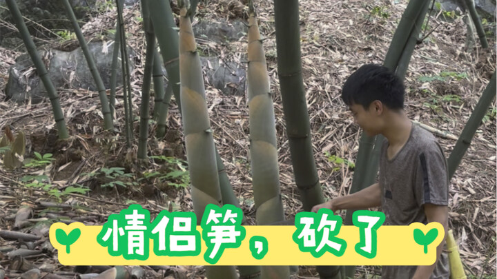 情侣笋！怎么办？