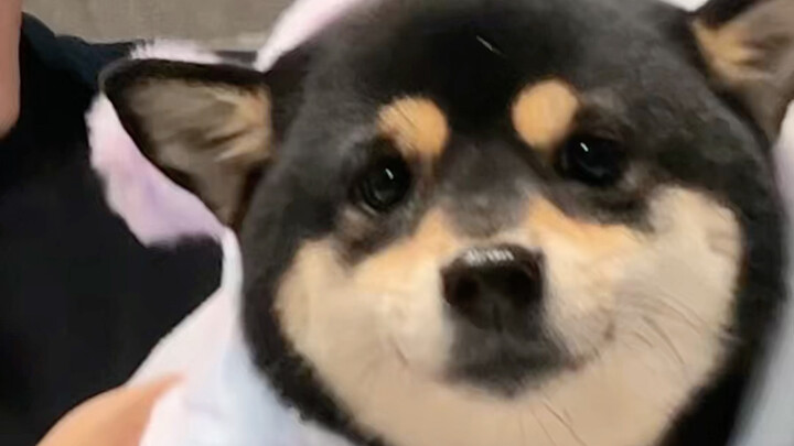 Questioning the Shaker, Understanding the Shaker, and Becoming the Shaker