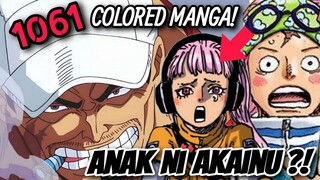 ONE PIECE 1061: ANAK NI AKAINU ANG FUTURE WIFE NI KOBY?! | KAIDO & BIG MOM ANG NEXT COVER STORY?!